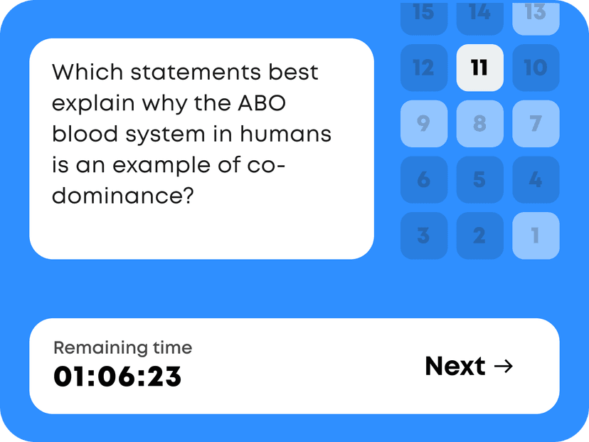 Exam like Experience